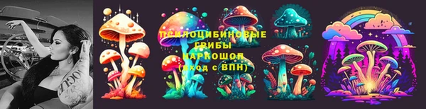 соль курить ск Россошь