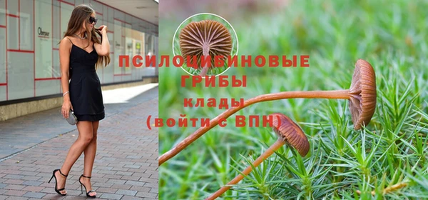 каннабис Алзамай