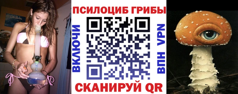 Галлюциногенные грибы GOLDEN TEACHER  купить наркоту  Карачаевск 